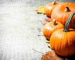 Pumpkins with autumn leaves. photo