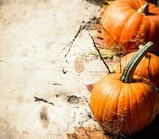 otoño cosecha. Fresco calabaza con hojas y sucursales. foto