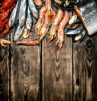 variety of seafood on a fishing net. photo