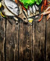 variety of seafood on a fishing net. photo
