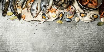 Fresco camarón, pescado y mariscos. foto