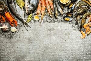 Fresh seafood with a fishing net. photo