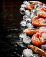 Shrimp with pieces of ice. photo