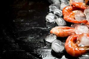 Shrimp with pieces of ice. photo