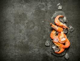 Shrimp with ice . photo