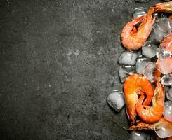 Shrimp with ice . photo