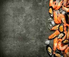 camarón y mejillones con hielo. foto