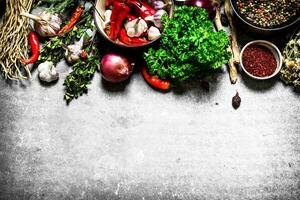 Big set of spices and herbs photo