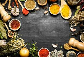 Frame of Indian spices and herbs. photo