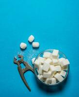 Refined sugar with wire cutters . On blue table. photo