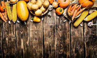 Yellow autumn vegetables . photo