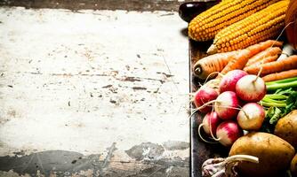 Different raw vegetables . photo