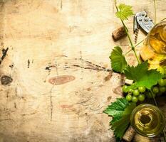 White wine with a vine . photo