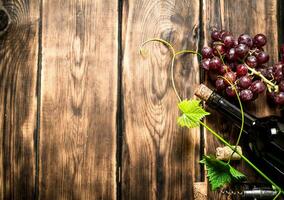 Bottle red wine with a sprig of grapes. photo