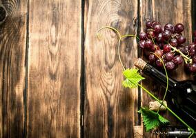 botella rojo vino con un puntilla de uvas. foto