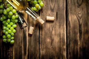 White wine with branches grapes. photo