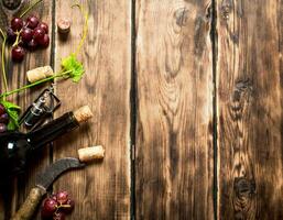 Red wine with a vine branch . photo