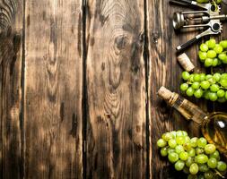 White wine with a corkscrew and branches of grapes. photo