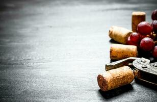 Wine corks with corkscrew and grape branch. photo