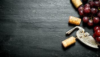 Wine corks with corkscrew and grape branch. photo