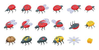 Ladybug icons set isometric vector. Spring insect vector