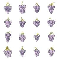 Grape wine bunch icons set vector color
