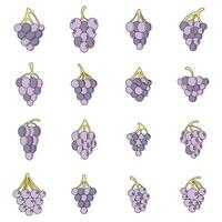 Grape wine bunch icons set vector color