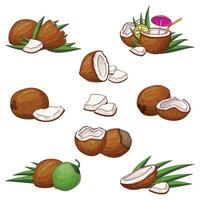 Coconut icons set cartoon vector. Coco leaf palm vector