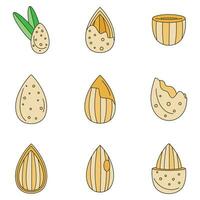 Almond walnut oil seed icons set vector color
