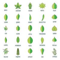 Leaf icons set vector color