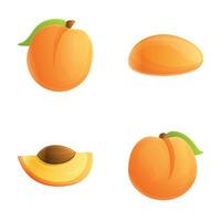 Apricot icons set cartoon vector. Fresh ripe fruit vector