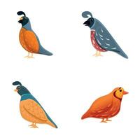 Partridge icons set cartoon vector. Variegated wild bird vector