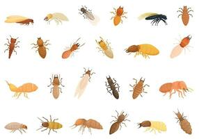 Termite icons set cartoon vector. Nature insect vector