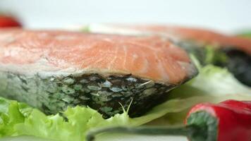 Raw, fresh salmon steak and vegetables on white video