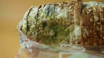 bread with mildew. Spoiled products video