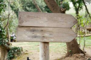 wooden sign in the a park with copy space concept. photo