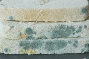bread with mildew. Spoiled products photo