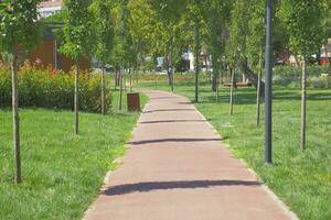 pov shot of walking on walkway at istanbul park at early morning photo