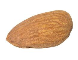 Almond kernel on a white isolated background, close up photo