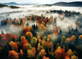 Aerial view of foggy autumn forest in the mountains. AI Generated photo
