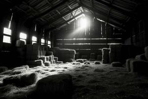 Sunlight streaming into a hay-filled barn photo