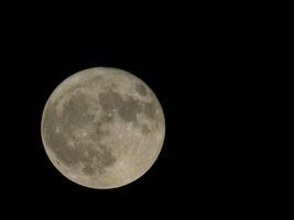 Full moon seen with telescope photo