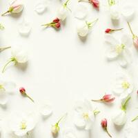 Creative layout of summer fresh flowers with space for text on white paper. Mockup. View from above. - Image photo