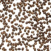 Coffee beans pattern. Isolated on a white background. - Image photo