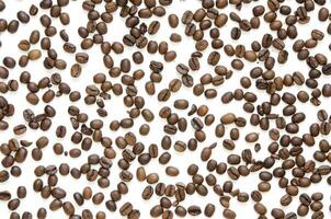 Coffee beans pattern. Isolated on a white background. - Image photo