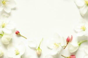 Flowers composition. Pattern made white and pink flowers with space for text on white paper. Mockup. View from above. - Image photo
