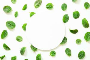 Creative layout of mint herbs with space for text on white paper. Mockup. View from above. - Image photo