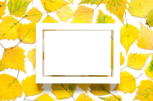 Creative layout of yellow autumn leaves with space for text on white paper. Mockup. View from above. - Image photo