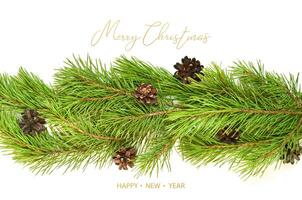 Merry Christmas and Happy New Year. Branch of Christmas tree on white background. photo