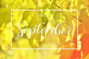 Hello september greeting card on background autumn leaves with bokeh and glare of light. photo